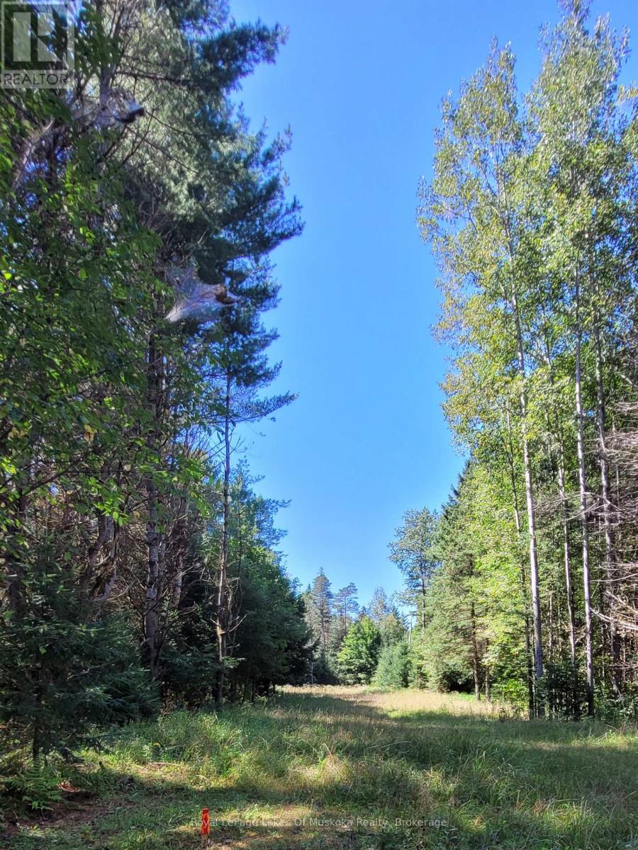 1059 ABLETT COURT, Algonquin Highlands (Stanhope) — photo 12