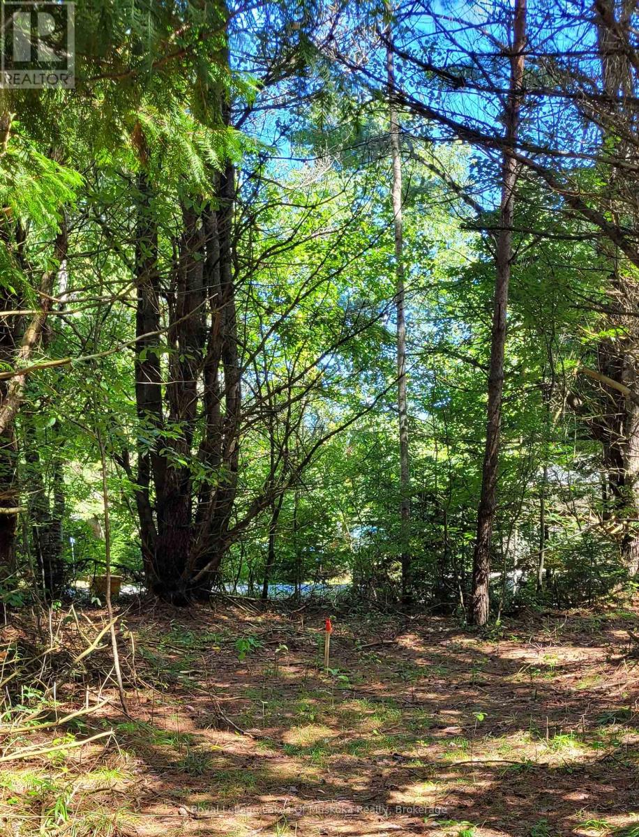 1059 ABLETT COURT, Algonquin Highlands (Stanhope) — photo 3