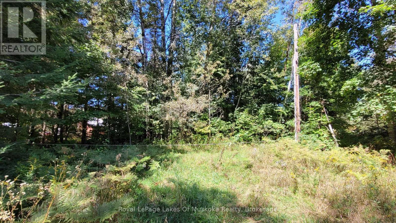 1059 ABLETT COURT, Algonquin Highlands (Stanhope) — photo 6