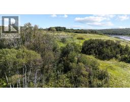 19515 Twp Rd 452, Rural Camrose County, AB T4V2M9 Photo 13