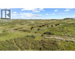 19515 Twp Rd 452, Rural Camrose County, AB T4V2M9 Photo 14