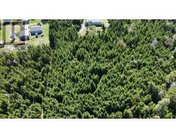 1015 Highway 247, Rockdale, NS B0E3B0 Photo 48