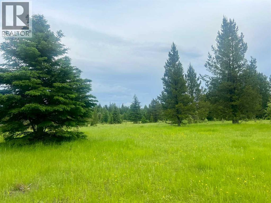 Lot 7 Twp Rd 534