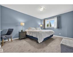 6507 97 Av Nw, Edmonton, AB T6B1C4 Photo 20