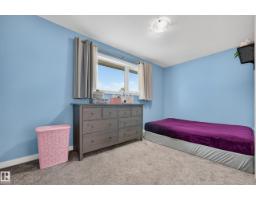 6507 97 Av Nw, Edmonton, AB T6B1C4 Photo 24