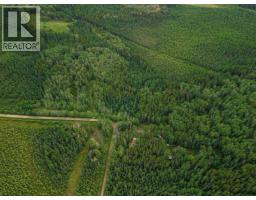 B 52044 Twp Rd 430, Rural Ponoka County, AB T0C2J0 Photo 31