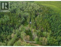 B 52044 Twp Rd 430, Rural Ponoka County, AB T0C2J0 Photo 35