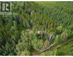 B 52044 Twp Rd 430, Rural Ponoka County, AB T0C2J0 Photo 36