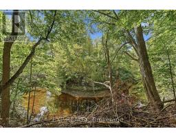 15734 Concession 1-2 Road, North Stormont, ON K0C1K0 Photo 29