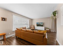 Recreation room - 6108 102 Av Nw, Edmonton, AB T6A0N4 Photo 10