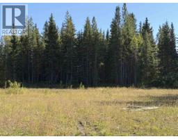 2002 Pioneer Road, Houston, BC V0J1Z1 Photo 17