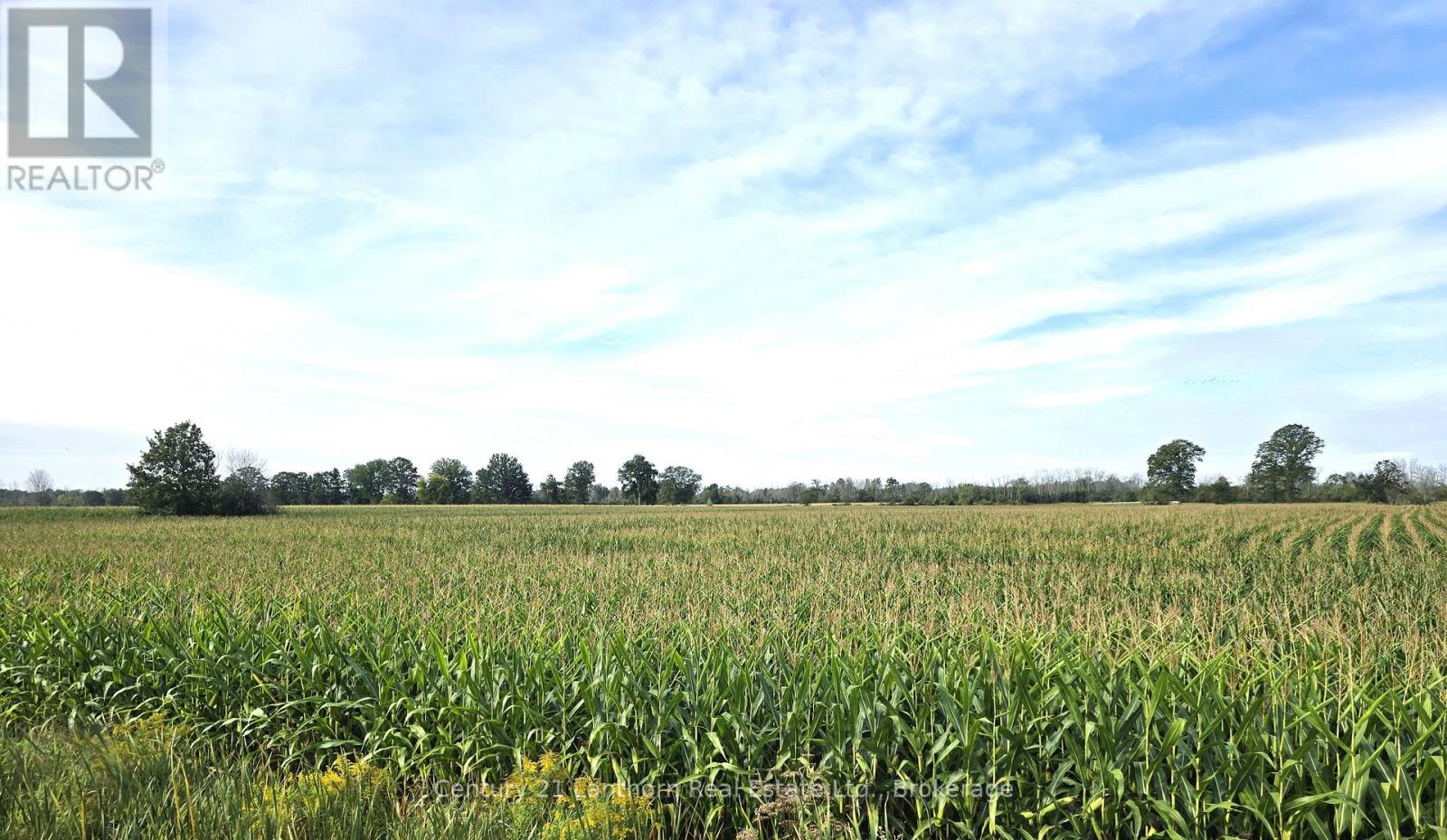 1014 HAMILTON ROAD, Quinte West (Sidney Ward) — photo 4