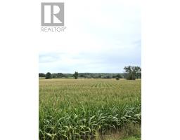 1014 Hamilton Road, Quinte West, ON K8V5P8 Photo 39