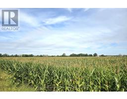 1014 Hamilton Road, Quinte West, ON K8V5P8 Photo 45