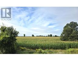 1014 Hamilton Road, Quinte West, ON K8V5P8 Photo 46