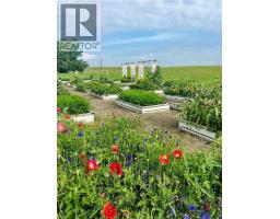 203043 531 Highway, Rural Vulcan County, AB T0L1G0 Photo 48