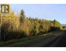 Nw-17-56-14, Rural Yellowhead County, AB T7E3S2 Photo 11