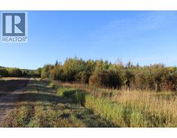 Nw-17-56-14, Rural Yellowhead County, AB T7E3S2 Photo 16