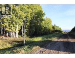 Nw-17-56-14, Rural Yellowhead County, AB T7E3S2 Photo 6