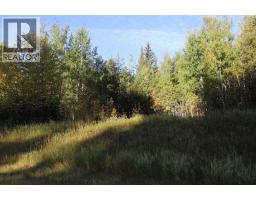 Nw-17-56-14, Rural Yellowhead County, AB T7E3S2 Photo 7