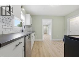 249 Clarence Street, Brantford, ON N3R3T6 Photo 15