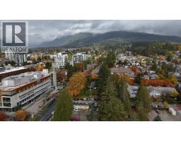 313 E 13th Street, North Vancouver, BC V7L2L9 Photo 10