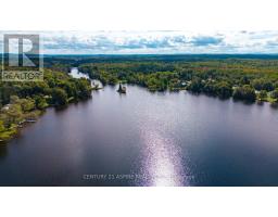 11166 60 Highway, North Algona Wilberforce, ON K0J1X0 Photo 44