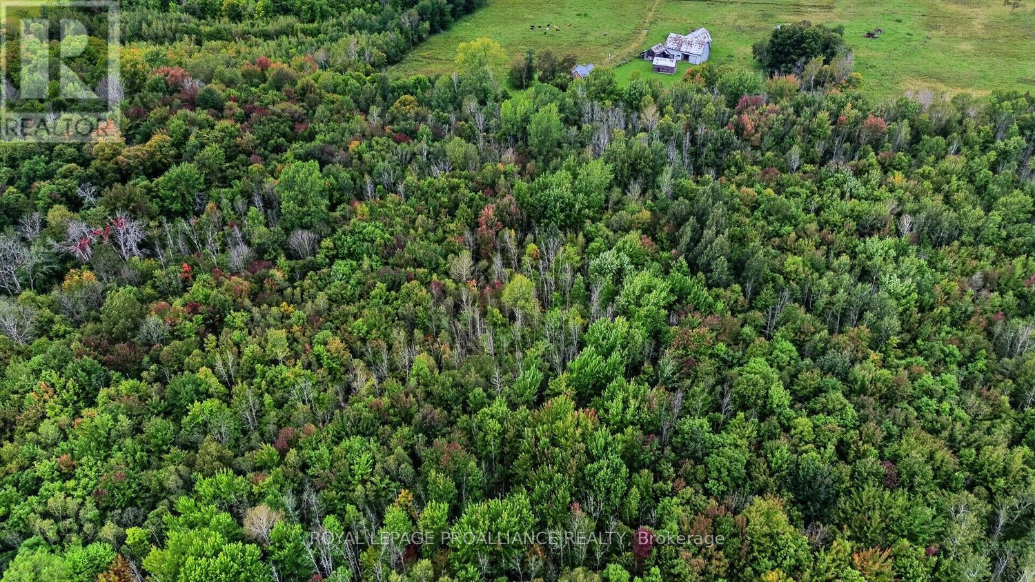 0 KAIN ROAD, Edwardsburgh/Cardinal — photo 3