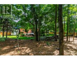 14 Rosewood Avenue, Springwater, ON L9X0P5 Photo 46