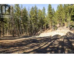 Lot B Trepanier Road, Peachland, BC V0H1X3 Photo 28
