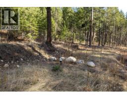Lot B Trepanier Road, Peachland, BC V0H1X3 Photo 35