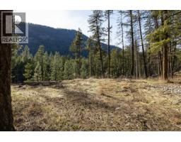 Lot B Trepanier Road, Peachland, BC V0H1X3 Photo 34