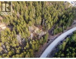 Lot B Trepanier Road, Peachland, BC V0H1X3 Photo 11