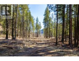Lot B Trepanier Road, Peachland, BC V0H1X3 Photo 23
