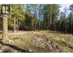 Lot B Trepanier Road, Peachland, BC V0H1X3 Photo 31