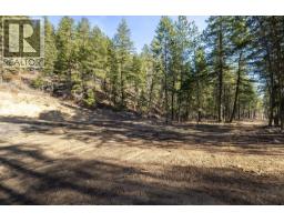 Lot B Trepanier Road, Peachland, BC V0H1X3 Photo 29