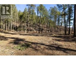 Lot B Trepanier Road, Peachland, BC V0H1X3 Photo 20
