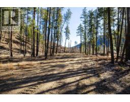 Lot B Trepanier Road, Peachland, BC V0H1X3 Photo 17
