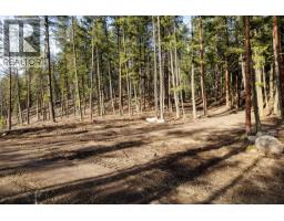 Lot A Trepanier Road, Peachland, BC V0H1X3 Photo 13