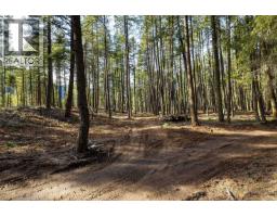 Lot A Trepanier Road, Peachland, BC V0H1X3 Photo 16