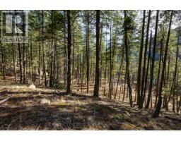 Lot A Trepanier Road, Peachland, BC V0H1X3 Photo 21
