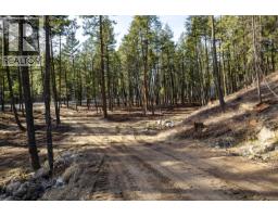 Lot A Trepanier Road, Peachland, BC V0H1X3 Photo 9
