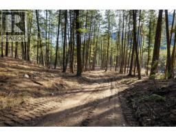 Lot A Trepanier Road, Peachland, BC V0H1X3 Photo 15