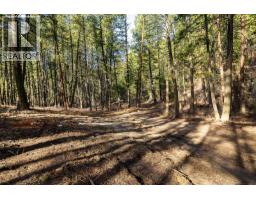 Lot A Trepanier Road, Peachland, BC V0H1X3 Photo 22