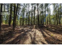 Lot A Trepanier Road, Peachland, BC V0H1X3 Photo 23