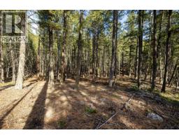 Lot A Trepanier Road, Peachland, BC V0H1X3 Photo 19