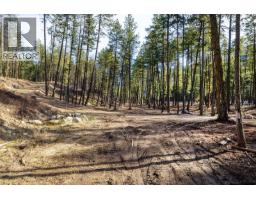 Lot A Trepanier Road, Peachland, BC V0H1X3 Photo 7
