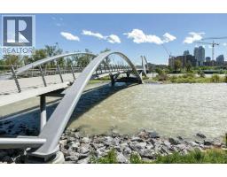 602, 320 Meredith Road Ne, Calgary, AB T2E5A6 Photo 33