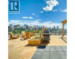 317r 9a Street Nw, Calgary, AB T2N1T7 Photo 22