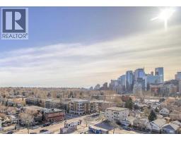 317r 9a Street Nw, Calgary, AB T2N1T7 Photo 29